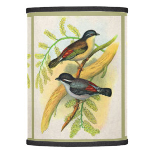 pretty birds print lamp shade
