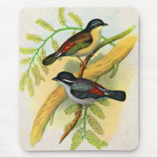 pretty birds print mouse pad