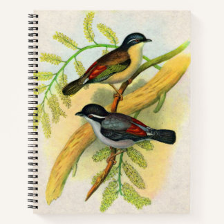 pretty birds print notebook