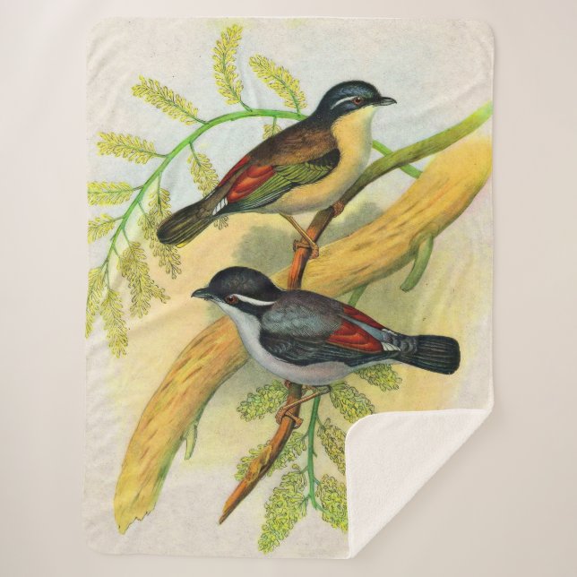 pretty birds print sherpa blanket (Front)