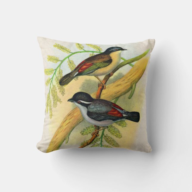 pretty birds print throw pillow (Front)