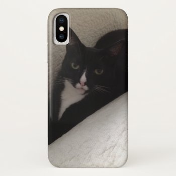 Pretty Black And White Kitten Cat Iphone Xs Case by thecatshoppe at Zazzle