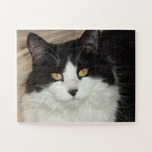 Pretty Black and White Long Haired Cat Jigsaw Puzzle