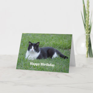 Pretty Black and White Tuxedo Cat Photo Birthday Card