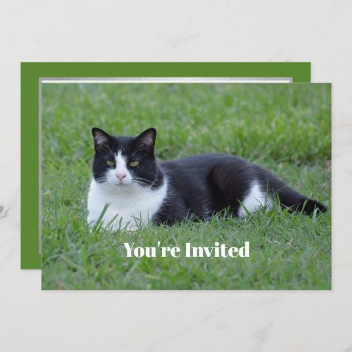 Pretty Black and White Tuxedo Cat Photo Birthday Invitation