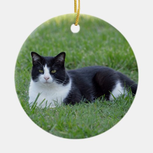 Pretty Black and White Tuxedo Cat Photo Ceramic Ornament