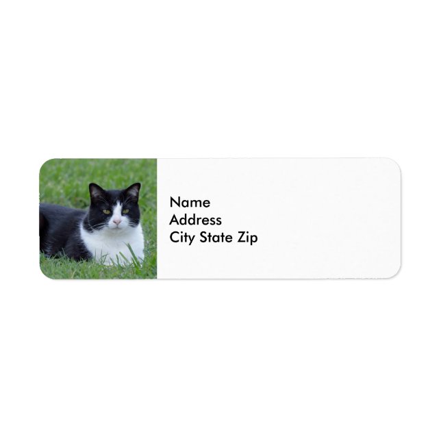 Pretty Black and White Tuxedo Cat Photo Label (Front)
