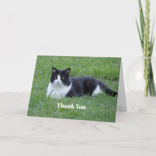 Pretty Black and White Tuxedo Cat Photo Letterpress Thank You Card