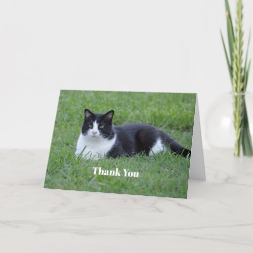 Pretty Black and White Tuxedo Cat Photo Thank You Card