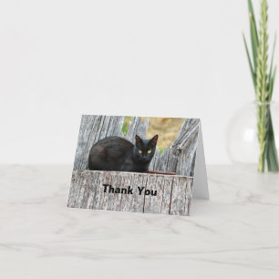 Pretty Black Cat Log Photo Letterpress Thank You Card