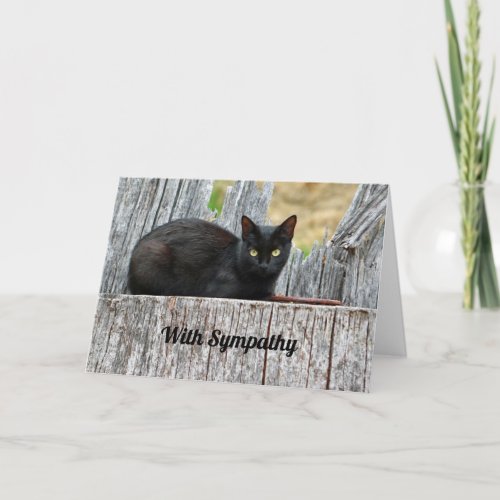 Pretty Black Cat Log Photo Sympathy Card