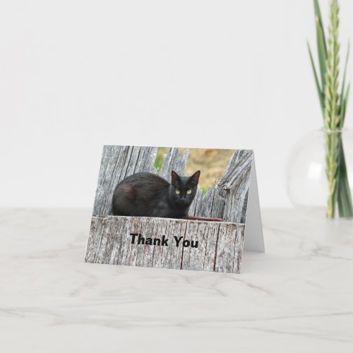 Pretty Black Cat Log Photo Thank You Card