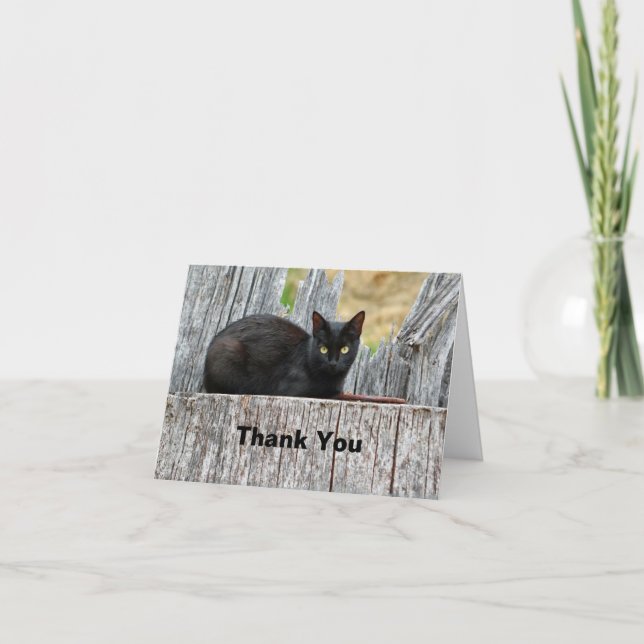 Pretty Black Cat Log Photo Thank You Card (Front)