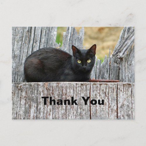 Pretty Black Cat Log Photo Thank You Postcard