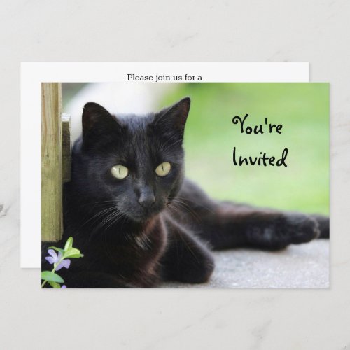 Pretty Black Cat Photo Birthday Invitation