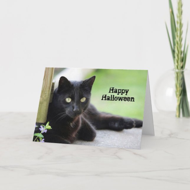 Pretty Black Cat Photo Halloween Card (Front)