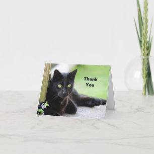 Pretty Black Cat Photo Letterpress Thank You Card
