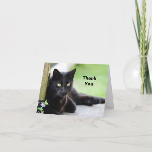Pretty Black Cat Photo Thank You Card