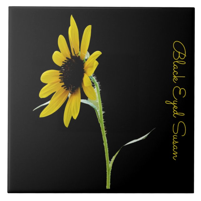 Pretty black eyed susan on black ceramic tile (Front)