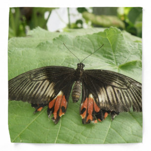 Pretty Black Red and Gold Butterfly Bandana