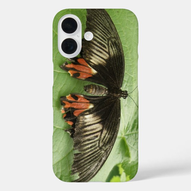 Pretty Black Red and Gold Butterfly Case-Mate iPhone Case (Back)