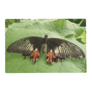 Pretty Black Red and Gold Butterfly Custom Placemat