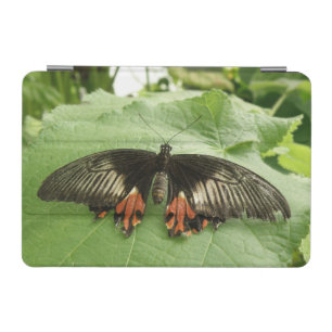 Pretty Black Red and Gold Butterfly iPad Mini Cover