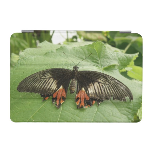 Pretty Black Red and Gold Butterfly iPad Mini Cover (Horizontal)
