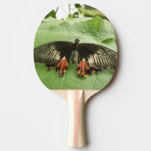 Pretty Black Red and Gold Buttetrfly Ping Pong Paddle