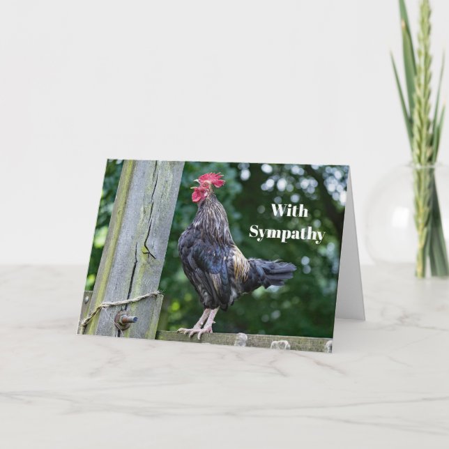 Pretty Black Rooster Crowing Photo Sympathy Card (Front)
