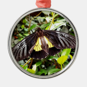 pretty black yellow butterfly photograph metal ornament