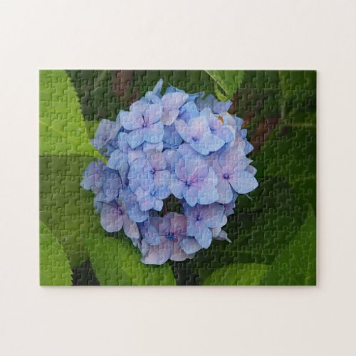 Pretty Blue and Pink Hydrangea Floral Photo Jigsaw Puzzle