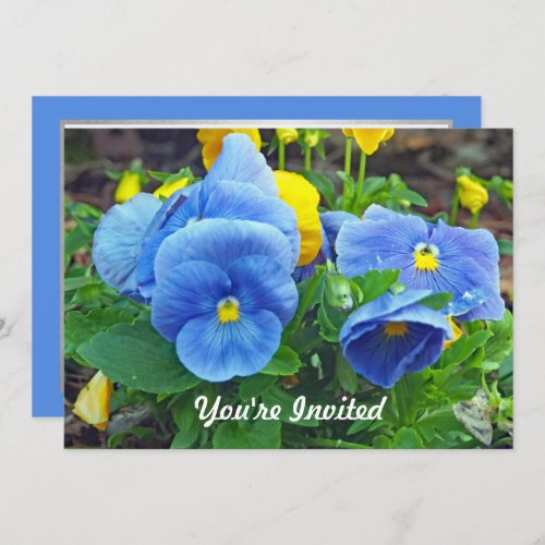 Pretty Blue and Yellow Pansy Floral Photo Birthday Invitation