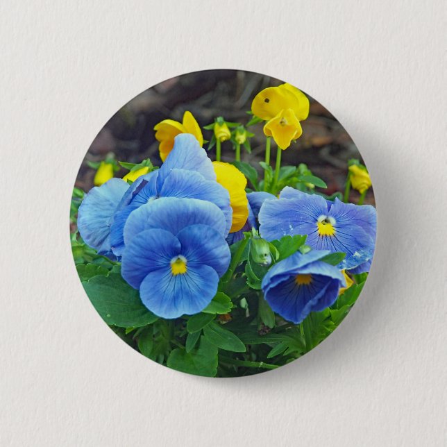 Pretty Blue and Yellow Pansy Floral Photo Button (Front)