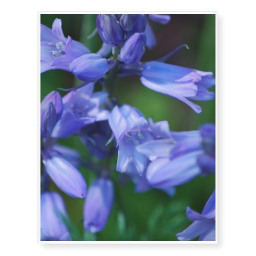 Pretty Blue Bell Flowers Temporary Tattoos