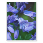Pretty Blue Bell Flowers Temporary Tattoos