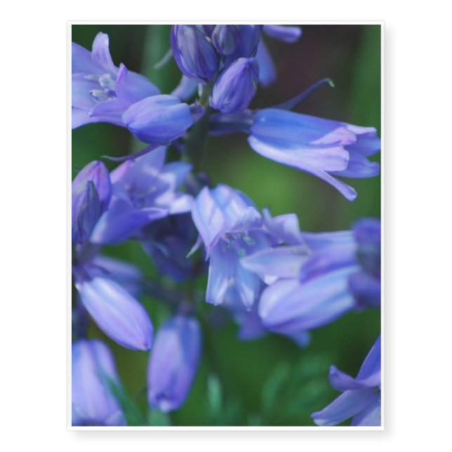 Pretty Blue Bell Flowers Temporary Tattoos (Front)