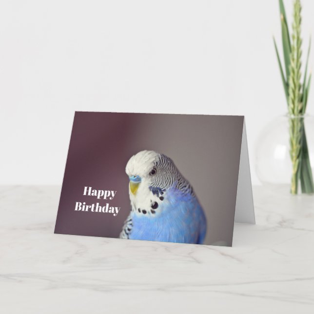 Pretty Blue Budgie Photo Birthday Card (Front)