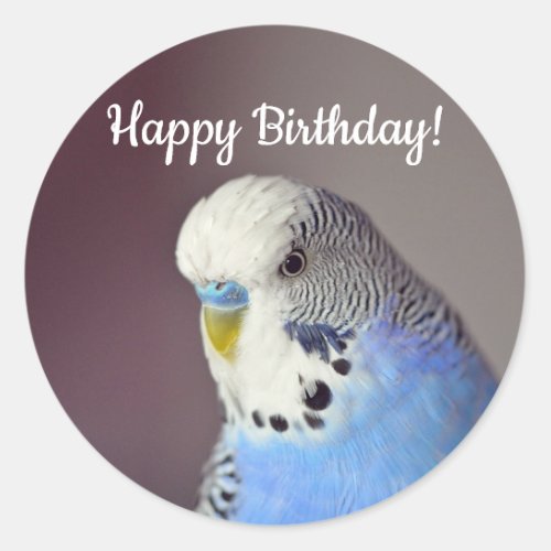 Pretty Blue Budgie Photo Birthday Classic Round Sticker