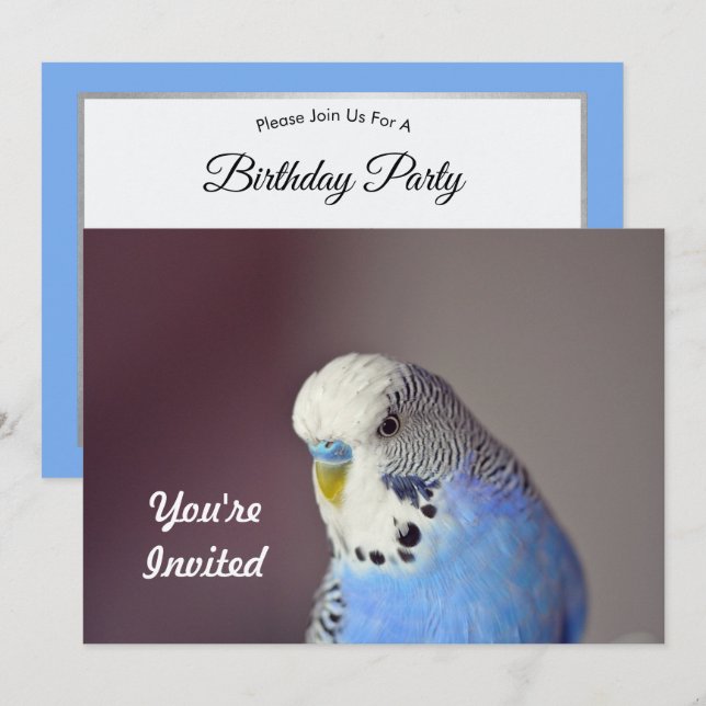 Pretty Blue Budgie Photo Birthday Invitation (Front/Back)