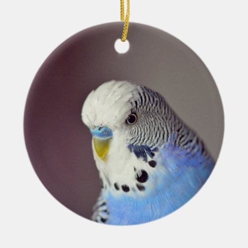Pretty Blue Budgie Photo Ceramic Ornament