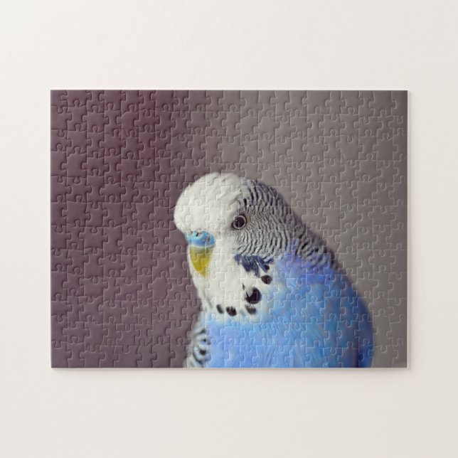 Pretty Blue Budgie Photo Jigsaw Puzzle (Horizontal)