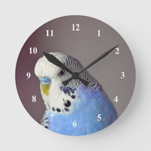 Pretty Blue Budgie Photo Round Clock