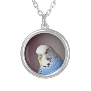 Pretty Blue Budgie Photo Silver Plated Necklace
