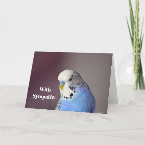 Pretty Blue Budgie Photo Sympathy Card