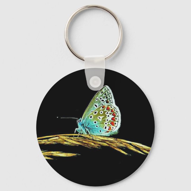 Pretty Blue Butterfly Grass Photo Keychain (Front)