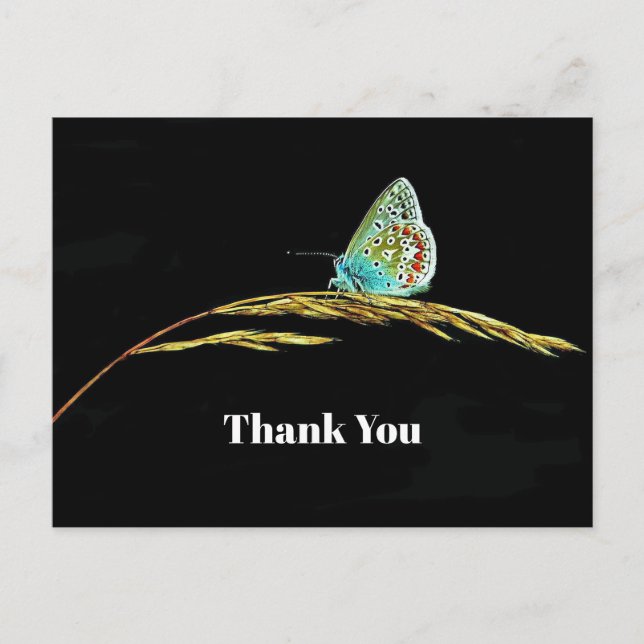 Pretty Blue Butterfly Grass Photo Thank You Postcard (Front)