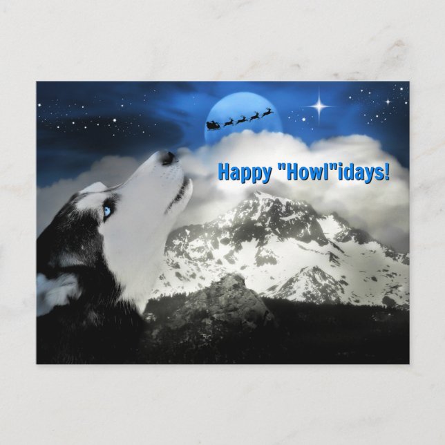 Pretty Blue Eyed Husky Happy Holidays Postcards (Front)
