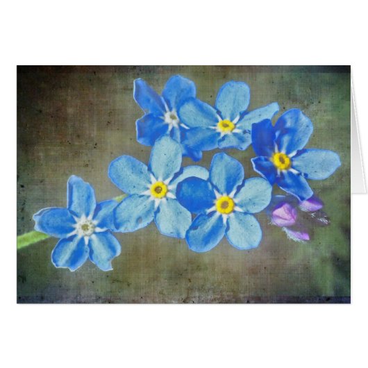Pretty Blue Flowers Cards (Front Horizontal)