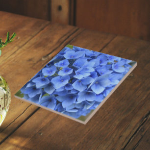 Pretty Blue Hydrangea Bloom Floral Ceramic Tile